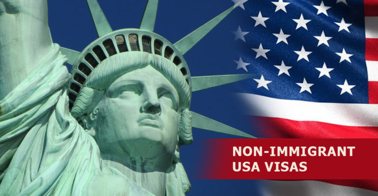 What
                                        Are Non-Immigrant USA Visas